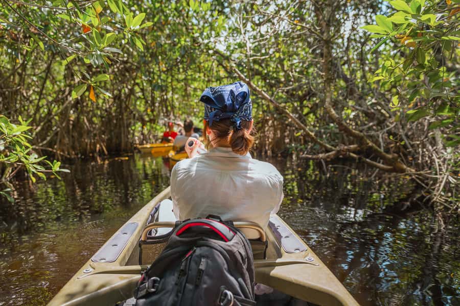 Everglades National Park: Mangrove Tunnel Kayak Eco-Tour - Why the mangrove tunnels make this tour special