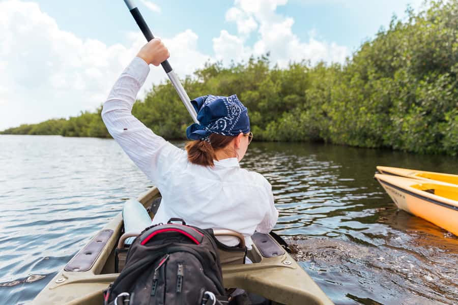 Everglades National Park: Mangrove Tunnel Kayak Eco-Tour - Starting at 32016 Tamiami Trail E