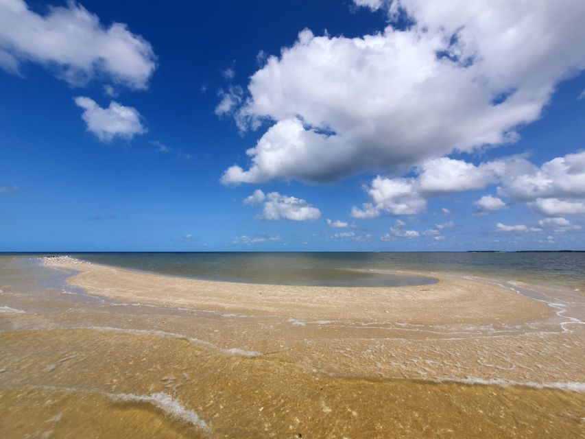 Everglades National Park: Motorboat Eco Tour - Key points at a glance