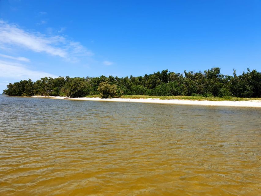 Everglades National Park: Motorboat Eco Tour - Who should book this motorboat tour?