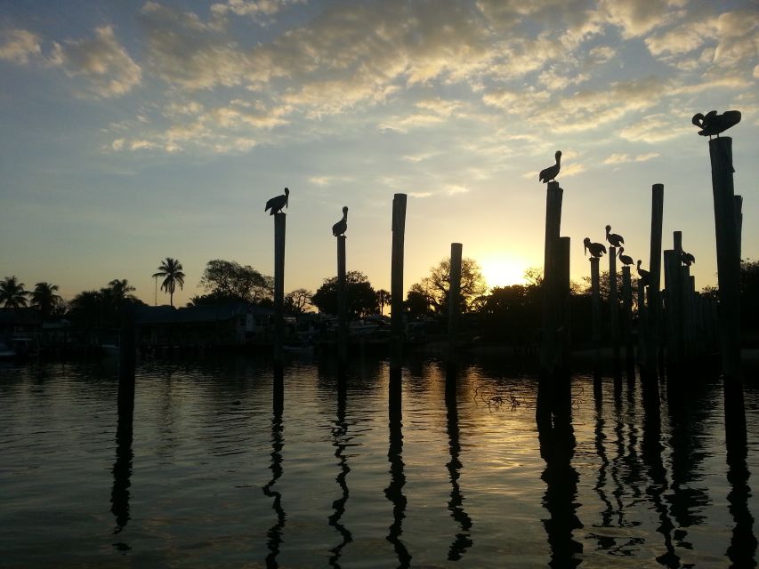 Everglades National Park: Motorboat Eco Tour - The island stop and Calusa connections