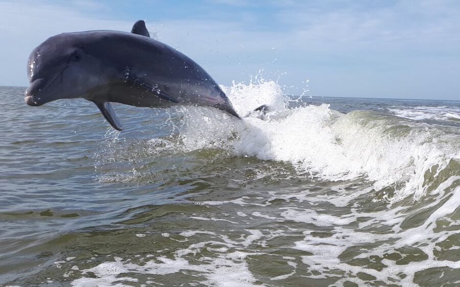 Everglades National Park: Motorboat Eco Tour - A six-person boat changes the experience
