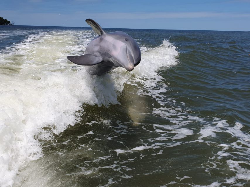 Everglades National Park: Motorboat Eco Tour - What is included and what you should bring