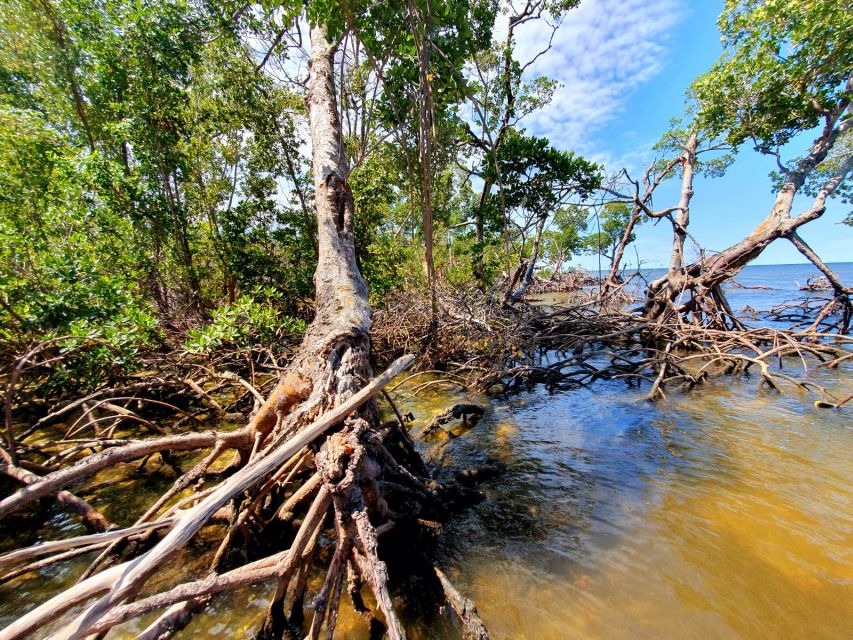Everglades National Park: Motorboat Eco Tour - Is $173 per person a fair price?