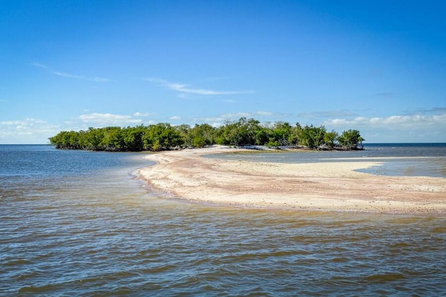 Everglades National Park: Pontoon Boat Tour & Boardwalk - Should you book the pontoon boat and boardwalk?