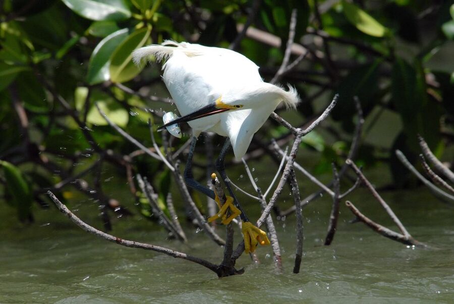 Everglades National Park: Private 2.5-Hour Photo Safari - Who will get the most from this tour