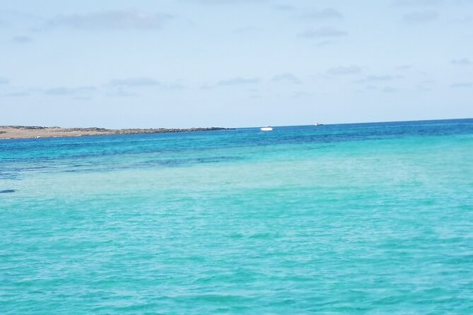 Excursion to Asinara Stintino La Pelosa National Park - Cala Reale and the sea turtle recovery center
