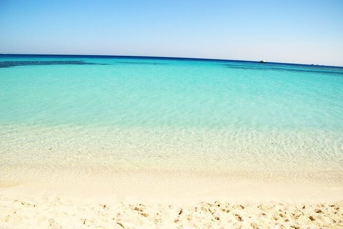 Excursion to the White Island & Ras Mohammed National Park from Sharm El Sheikh - What is included, and what costs extra