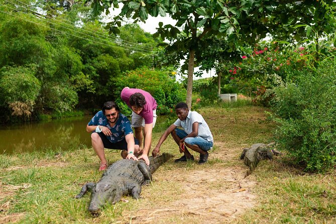 Experience Cape Coast Castle and Kakum National Park - Kakum National Park and the seven bridges
