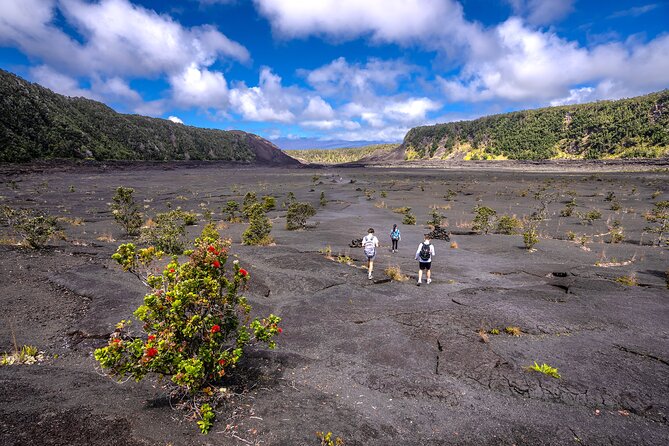 Expert Led Private Guided Tour Hawaii Volcanoes National Park - Key points to know before booking