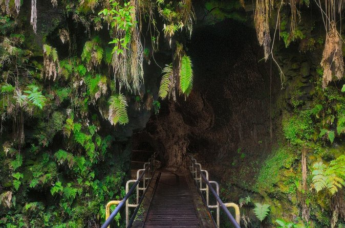Expert Led Private Guided Tour Hawaii Volcanoes National Park - Walking through Nahuku, Thurston Lava Tube