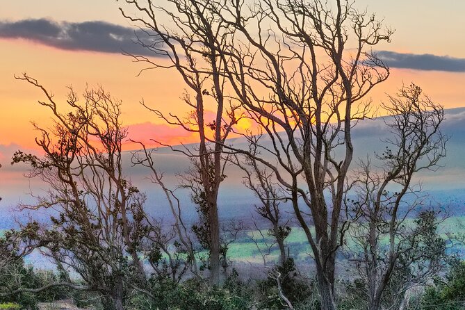 Expert Led Private Guided Tour Hawaii Volcanoes National Park - What the $600 price really buys you