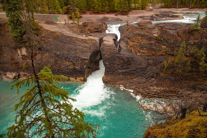 Explore 3 National Parks - Exclusive Small Group Tour - Takakkaw Falls, when the seasonal road is open