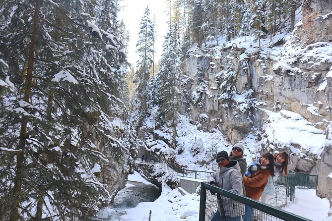 Explore Banff National Park with Our Premium Day Tour - Bow Falls, Castle Mountain, and the changing route