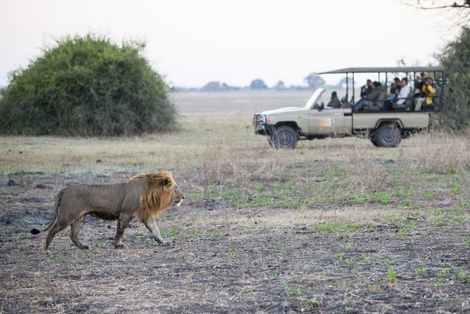 Explore Chobe National Park With a Day Trip from Victoria Falls - The 7:00 am pickup from Victoria Falls
