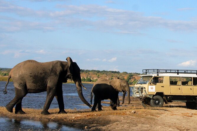 Explore Chobe National Park With a Day Trip from Victoria Falls - The biggest drawbacks to consider