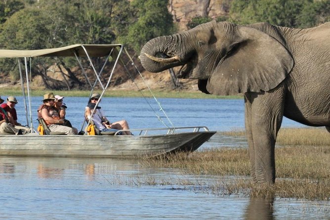 Explore Chobe National Park With a Day Trip from Victoria Falls - Crossing into Botswana for the river cruise