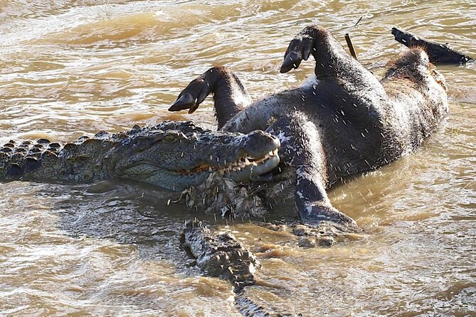 Explore The Beauty Of Udawalawe National Park From South Coast During 01 Day - Who should book this safari?