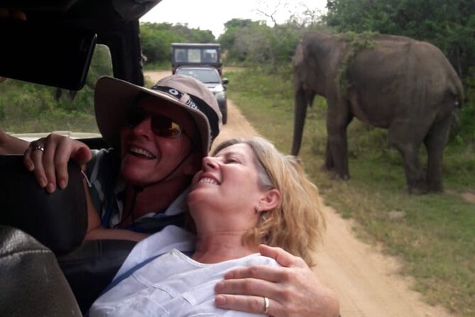 Explore The Beauty Of Udawalawe National Park From South Coast During 01 Day - Buying park tickets at Udawalawe
