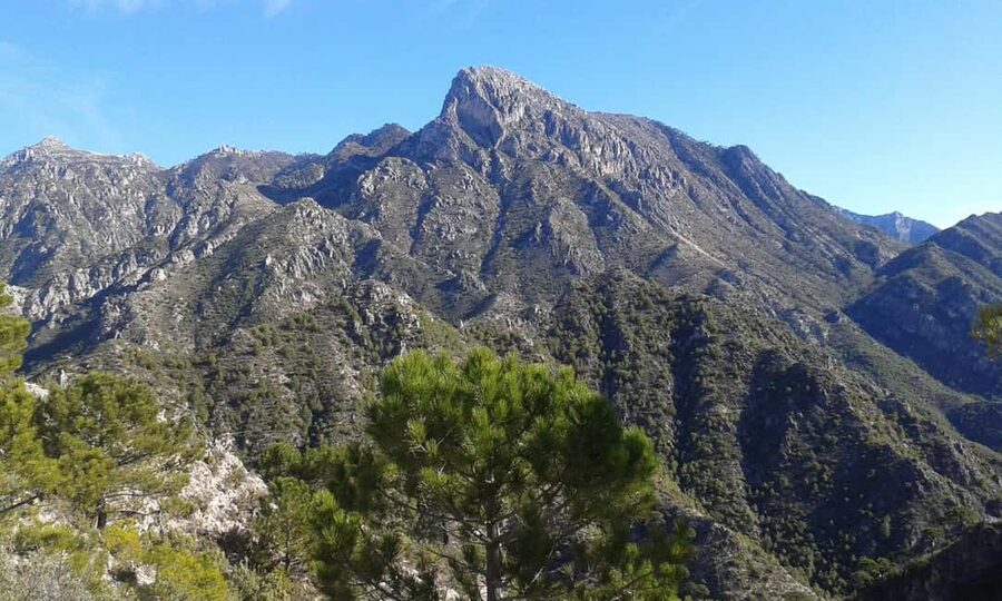 Explore the Nerja National Park nature in our open-top jeeps - Key points at a glance