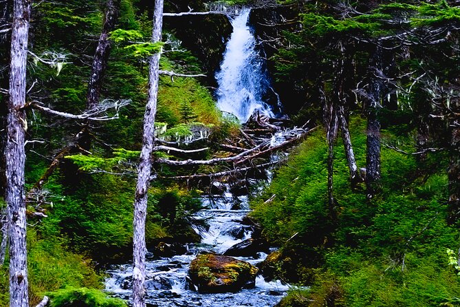 Exquisite Wildlife & Wilderness Photo Tour Anchorage -Whittier - Beluga Point and Birdpoint along Turnagain Arm