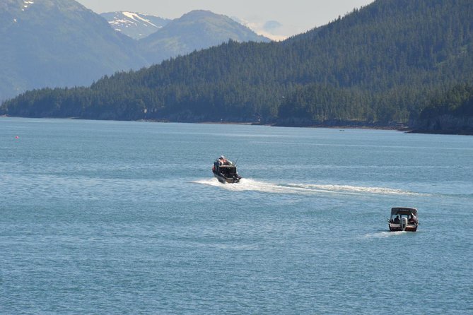 Exquisite Wildlife & Wilderness Photo Tour Anchorage -Whittier - Returning through Girdwood and Turnagain Arm