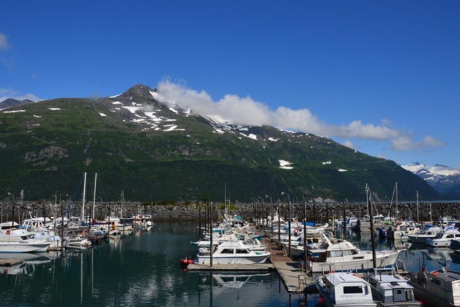 Exquisite Wildlife & Wilderness Photo Tour Anchorage -Whittier - Alaska Wildlife Conservation Center for close animal photographs