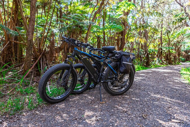 Fat Tire E-Bike Rental - Volcanoes National Park - Self-guided freedom versus a guided ride