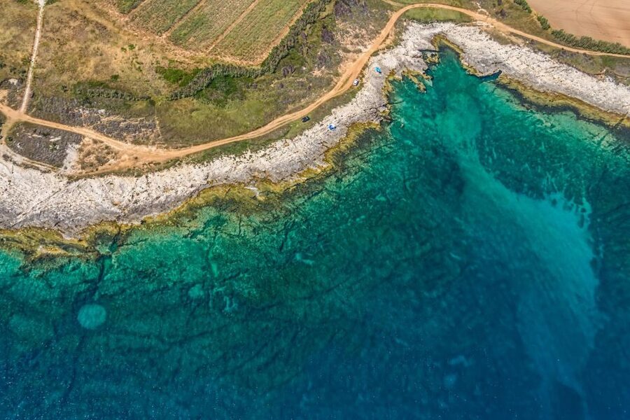 Fazana: Brijuni National Park Scenic Boat Tour & Swimming - What this Brijuni boat trip actually offers