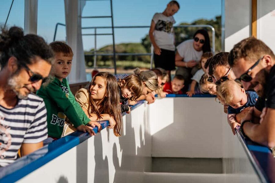 Fažana: Glass Boat Tour of Brijuni National Park - What this Fažana boat trip actually offers