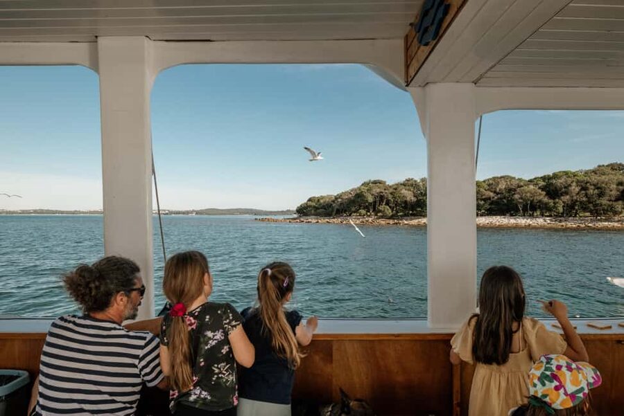 Fažana: Glass Boat Tour of Brijuni National Park - From Fažana across the Brijuni channel