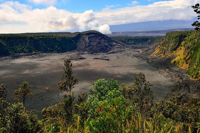 Fissure 8 Tour - Volcanoes National Park and Hilo Discovery - Who should book this experience