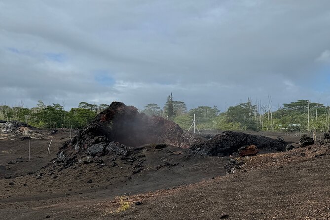 Fissure 8 Tour - Volcanoes National Park and Hilo Discovery - What the Fissure 8 visit can and cannot offer