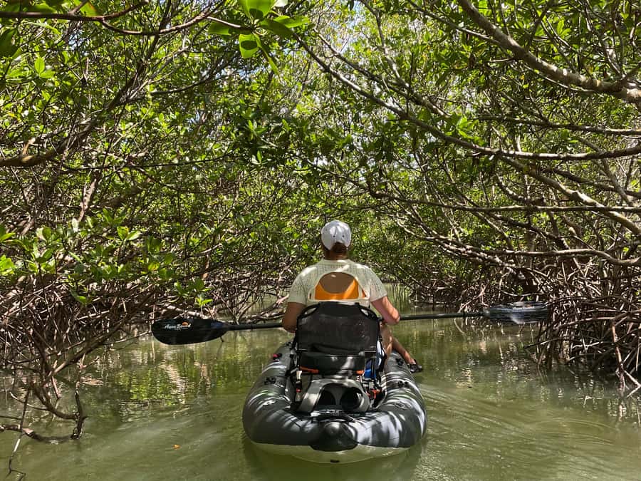 Fort Pierce: Prehistoric Preserve Kayak Tour - Why shallow water keeps this place so quiet