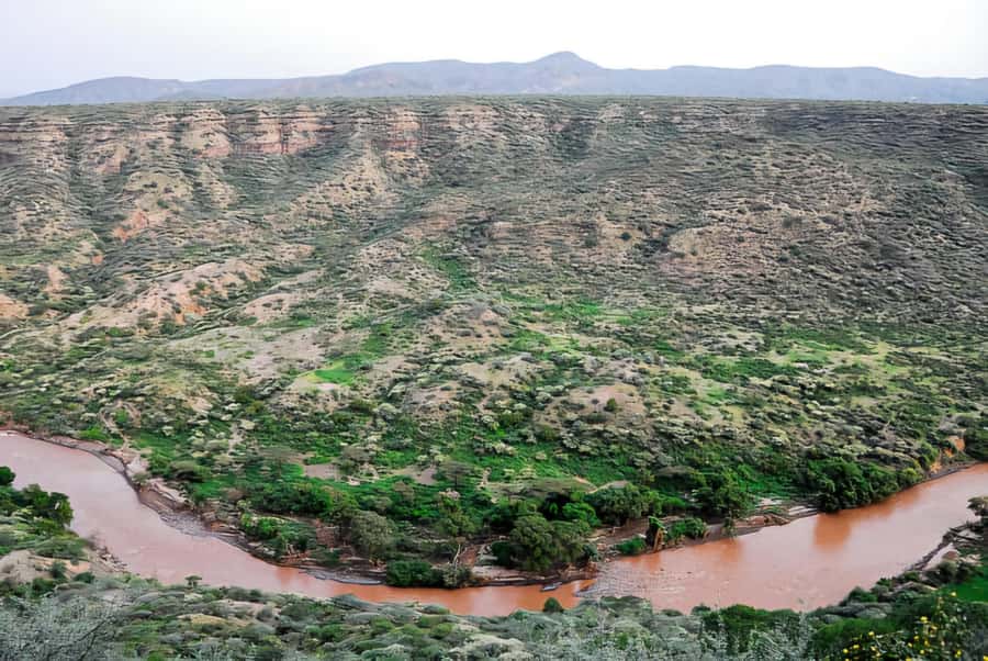 From Addis Ababa: Day Trip To Awash National Park - Key things to know before visiting Awash