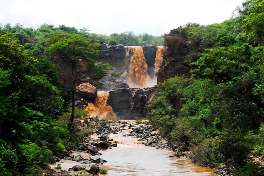 From Addis Ababa: Day Trip To Awash National Park - Lunch at Awash Falls Lodge or in Awash