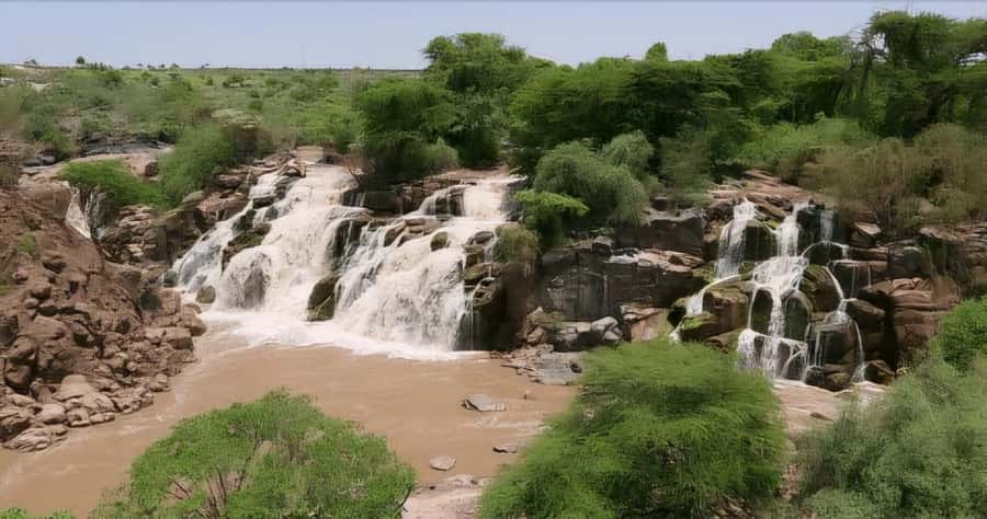 From Addis Ababa: Day Trip To Awash National Park - What the 10-hour schedule feels like