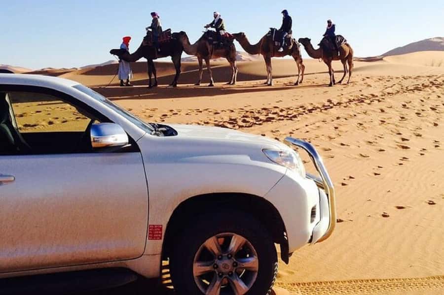 From Agadir: Souss-Massa National Park Tour with Lunch - Key points to know before booking