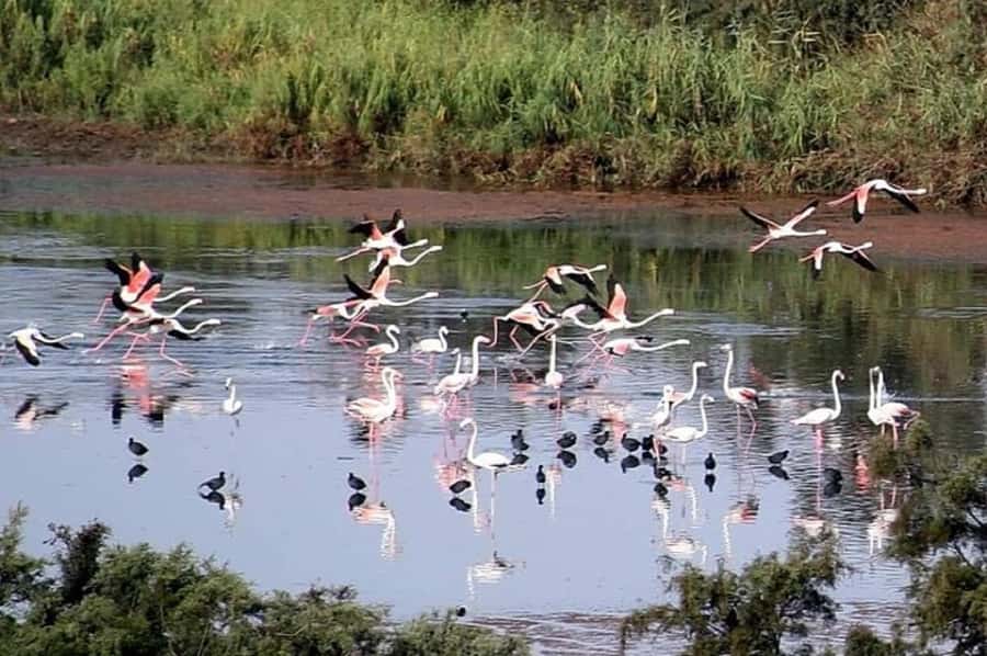 From Agadir: Souss-Massa National Park Tour with Lunch - Who will enjoy this tour most