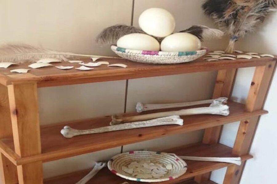 From Agadir: Souss-Massa National Park Tour with Lunch - Pottery, argan products, and other stops