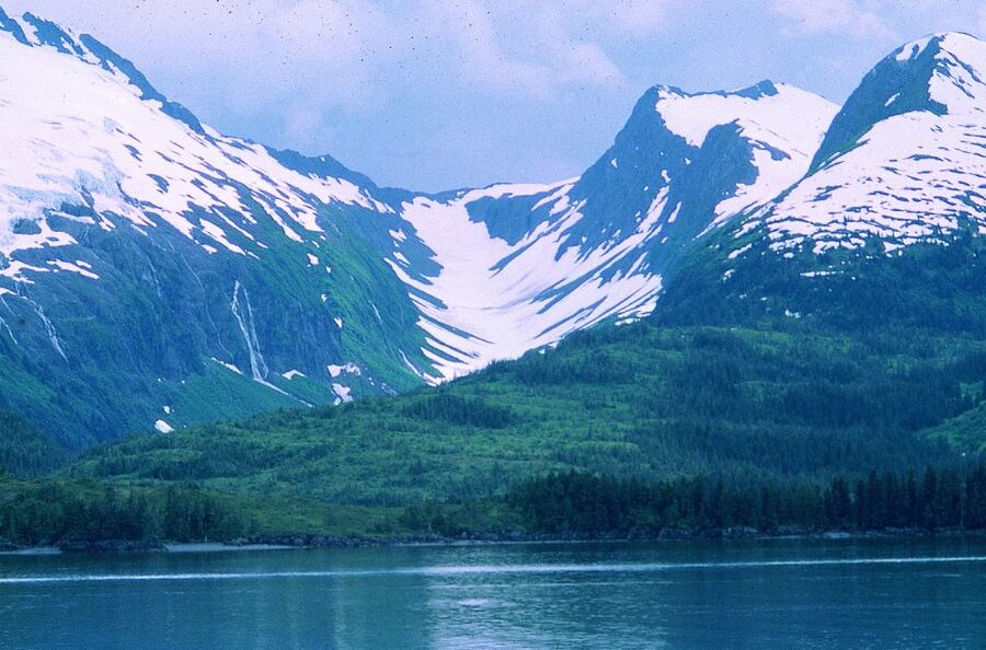 From Anchorage: Wilderness, Wildlife, & Glacier Experience - Who should book this experience?