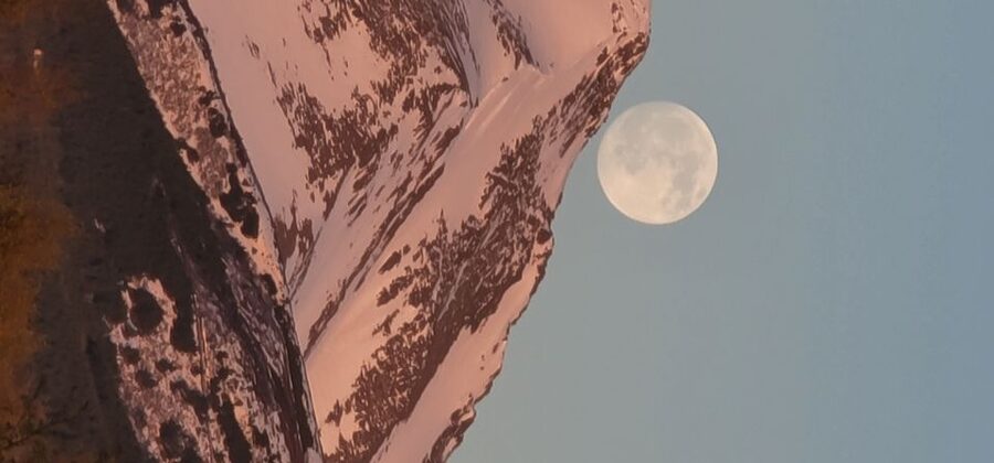 From Anchorage: Wilderness, Wildlife, & Glacier Experience - The Alaska Wildlife Conservation Center