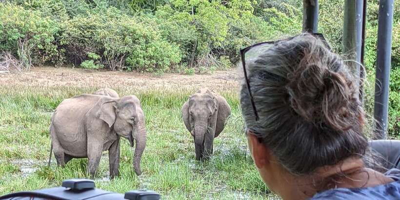 From Arugambay : Yala National Park Safari & Dropoff in Ella - Who will enjoy this safari most?