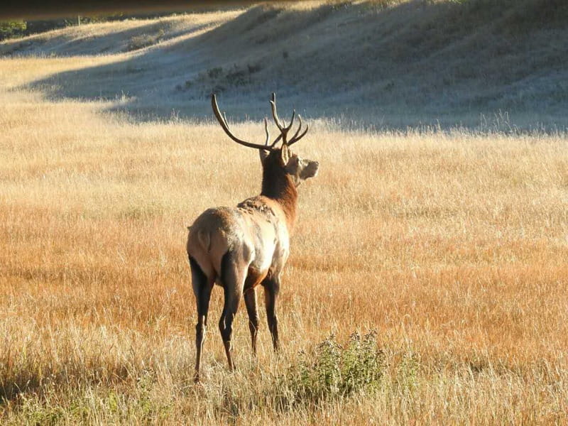 From Banff/Canmore: Deep 1 Day Tour in Banff National Park - A big Banff day without the parking headache