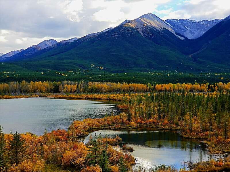 From Banff/Canmore: Deep 1 Day Tour in Banff National Park - Lunch and free time in the town of Banff