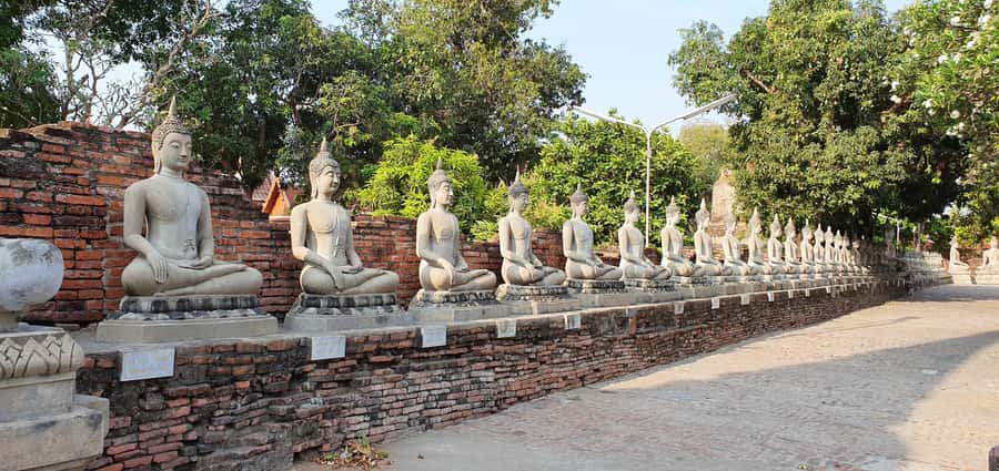 From Bangkok: Ayutthaya & Khao Yai National Park Day Trip - Wat Yai Chai Mongkhon and the reclining Buddha