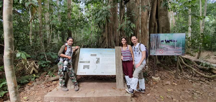 From Bangkok: Khao Yai National Park Jungle Trek with Lunch - What to bring for the forest walk