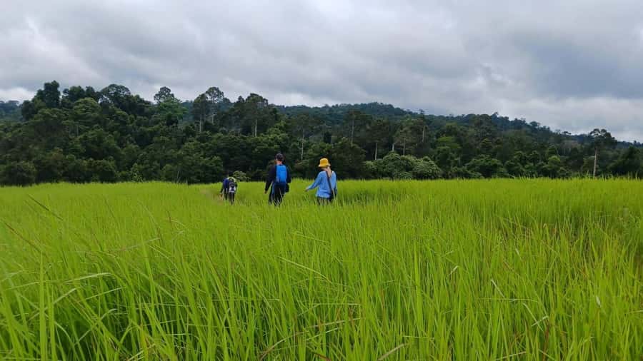 From Bangkok: Khao Yai National Park Jungle Trek with Lunch - Why Khao Yai makes a worthwhile day from Bangkok