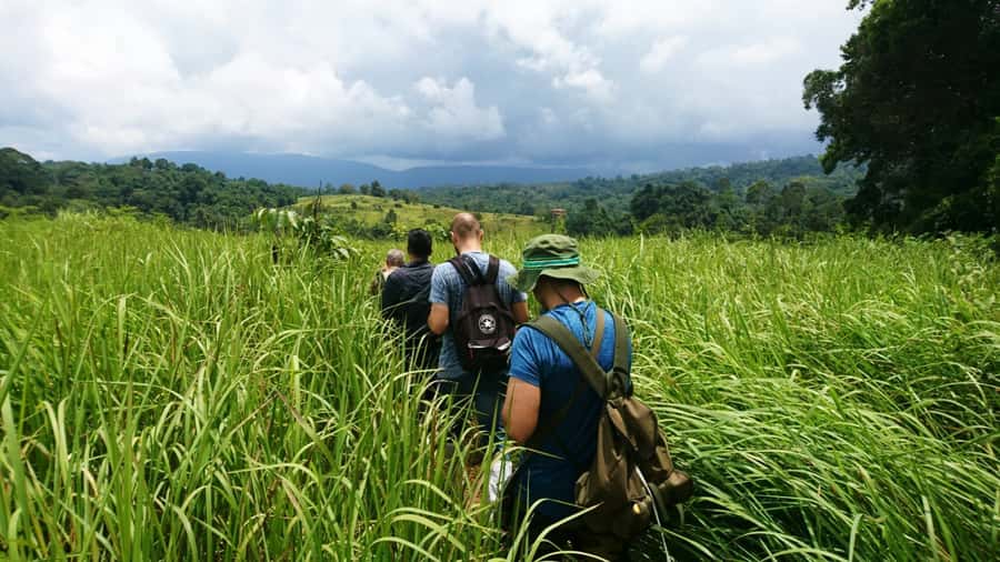 From Bangkok: Khao Yai National Park Jungle Trek with Lunch - Kilometer 30 viewpoint: a quick start with useful views