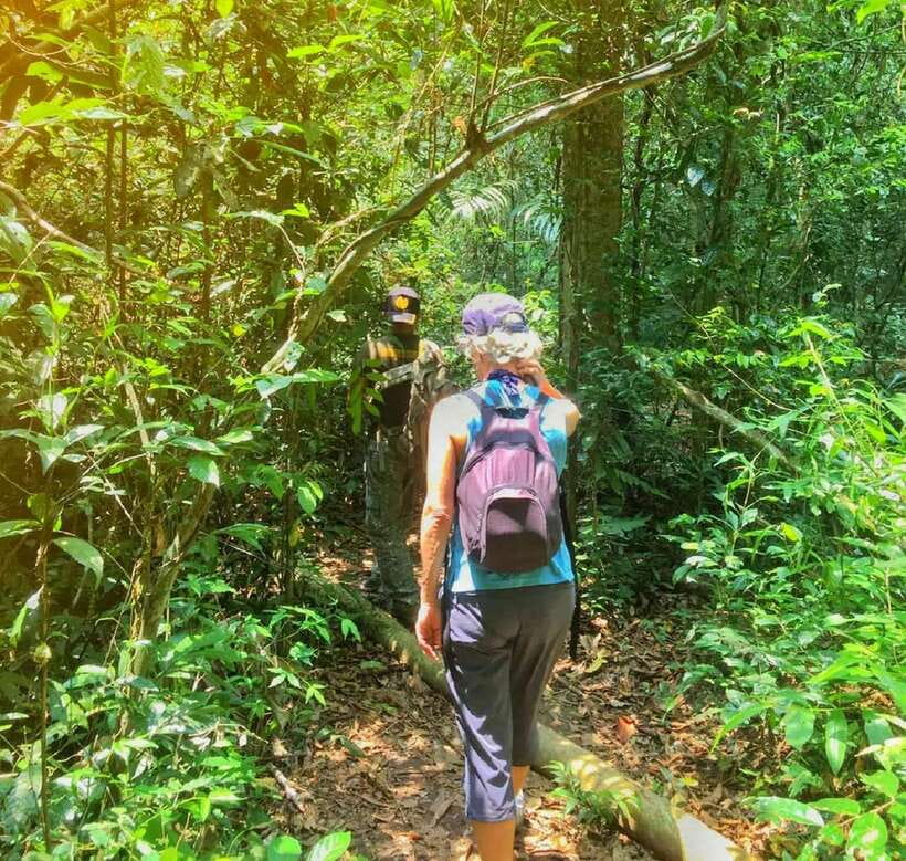 From Bangkok: Khao Yai National Park Small-Group Day Trip - The early start and three-hour road journey